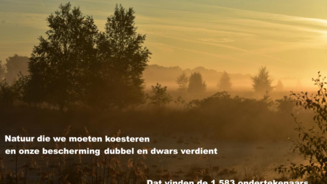 Wierdense veld.jpg